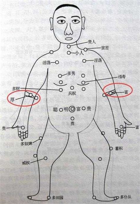 手臂痣長毛代表什麼|從手上的痣看你的好運在哪？上手臂有痣善於 ...